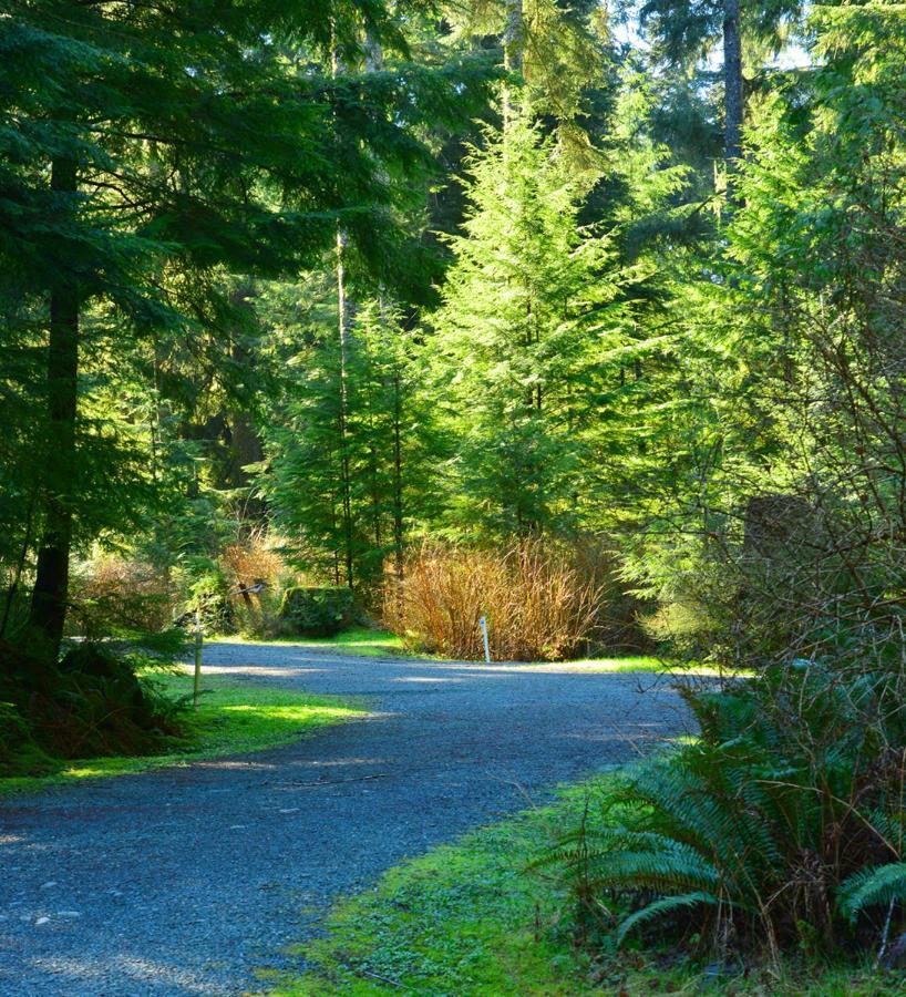 Pioneer Inn By The River Port Hardy Εξωτερικό φωτογραφία